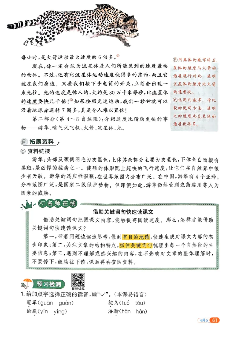 25版《阳光同学暑假衔接》语文4升5-副本_25秋《阳光同学》系列_25年1-6年级语文《阳光同学语文暑假衔接》_4升5