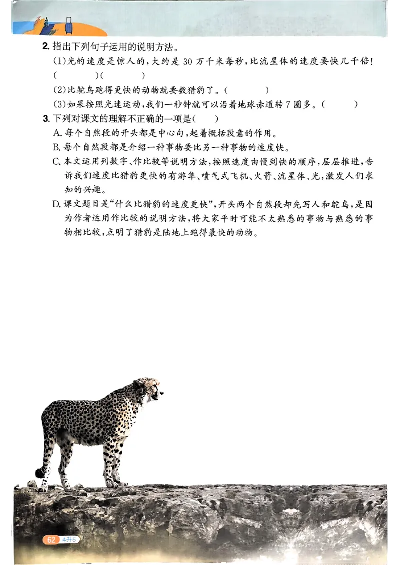 25版《阳光同学暑假衔接》语文4升5-副本_25秋《阳光同学》系列_25年1-6年级语文《阳光同学语文暑假衔接》_4升5