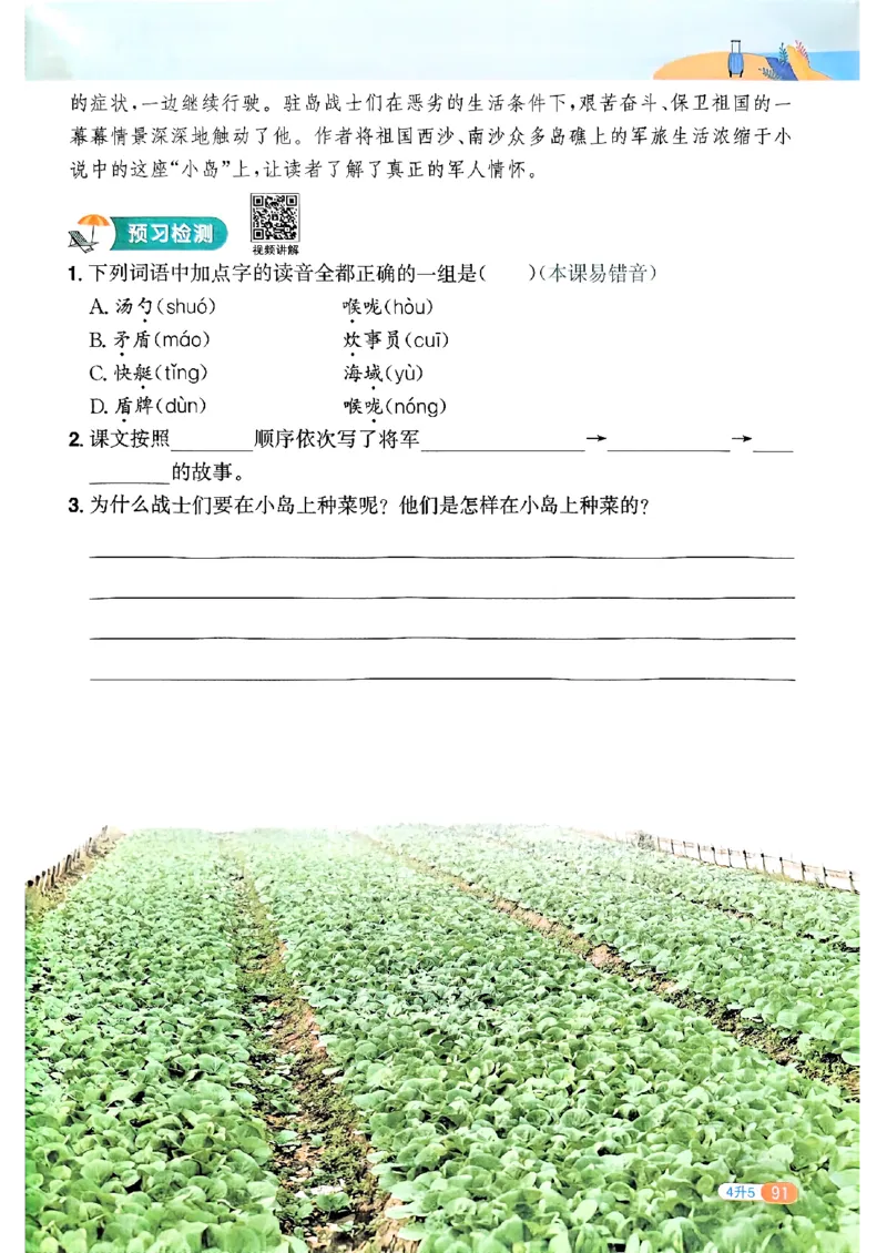 25版《阳光同学暑假衔接》语文4升5-副本_25秋《阳光同学》系列_25年1-6年级语文《阳光同学语文暑假衔接》_4升5