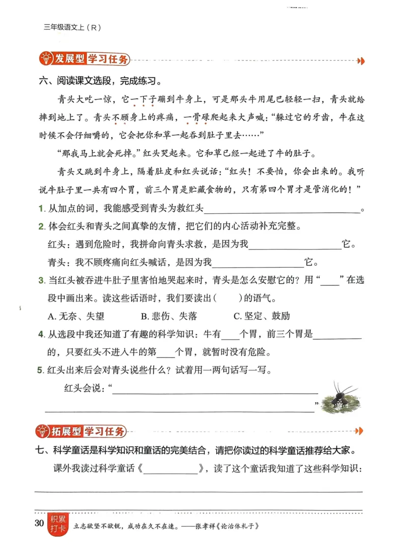 三年级语文上册人教版《黄冈小状元作业本》_25秋《黄冈小状元》系列_25秋1-6年级语文上册《黄冈小状元作业本》（有答案）