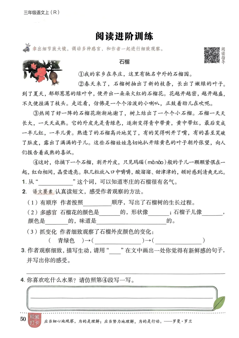 三年级语文上册人教版《黄冈小状元作业本》_25秋《黄冈小状元》系列_25秋1-6年级语文上册《黄冈小状元作业本》（有答案）