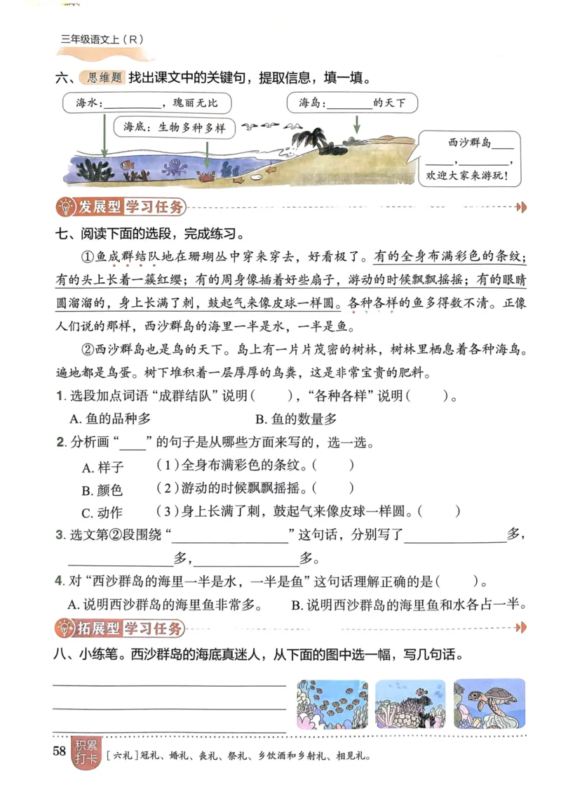 三年级语文上册人教版《黄冈小状元作业本》_25秋《黄冈小状元》系列_25秋1-6年级语文上册《黄冈小状元作业本》（有答案）