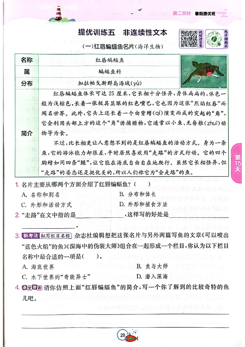 25版《实验班提优训练暑假衔接》语文3升4_25秋《实验班》系列_25版实验班语数英人教北师大苏教译林《暑假衔接》_实验班暑假衔接语文25年