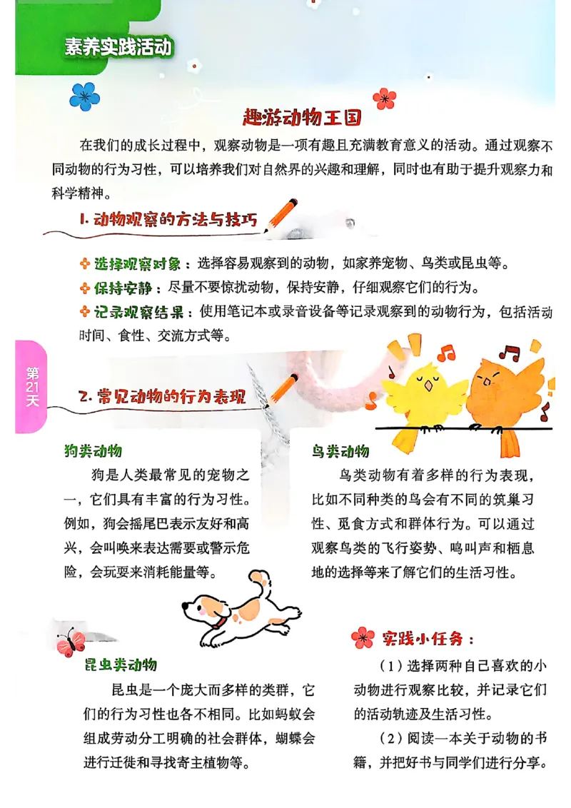 25版《实验班提优训练暑假衔接》语文3升4_25秋《实验班》系列_25版实验班语数英人教北师大苏教译林《暑假衔接》_实验班暑假衔接语文25年