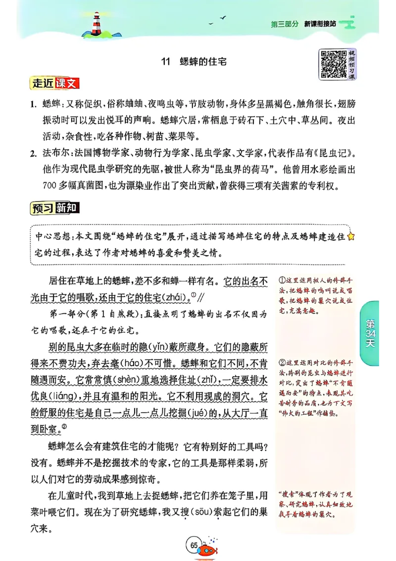 25版《实验班提优训练暑假衔接》语文3升4_25秋《实验班》系列_25版实验班语数英人教北师大苏教译林《暑假衔接》_实验班暑假衔接语文25年