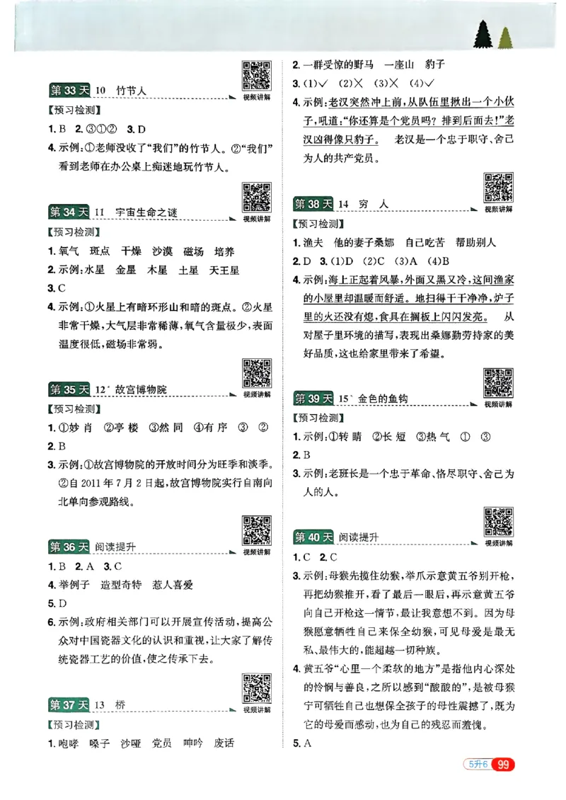 25版《阳光同学暑假衔接》语文5升6-副本_25秋《阳光同学》系列_25年1-6年级语文《阳光同学语文暑假衔接》_5升6