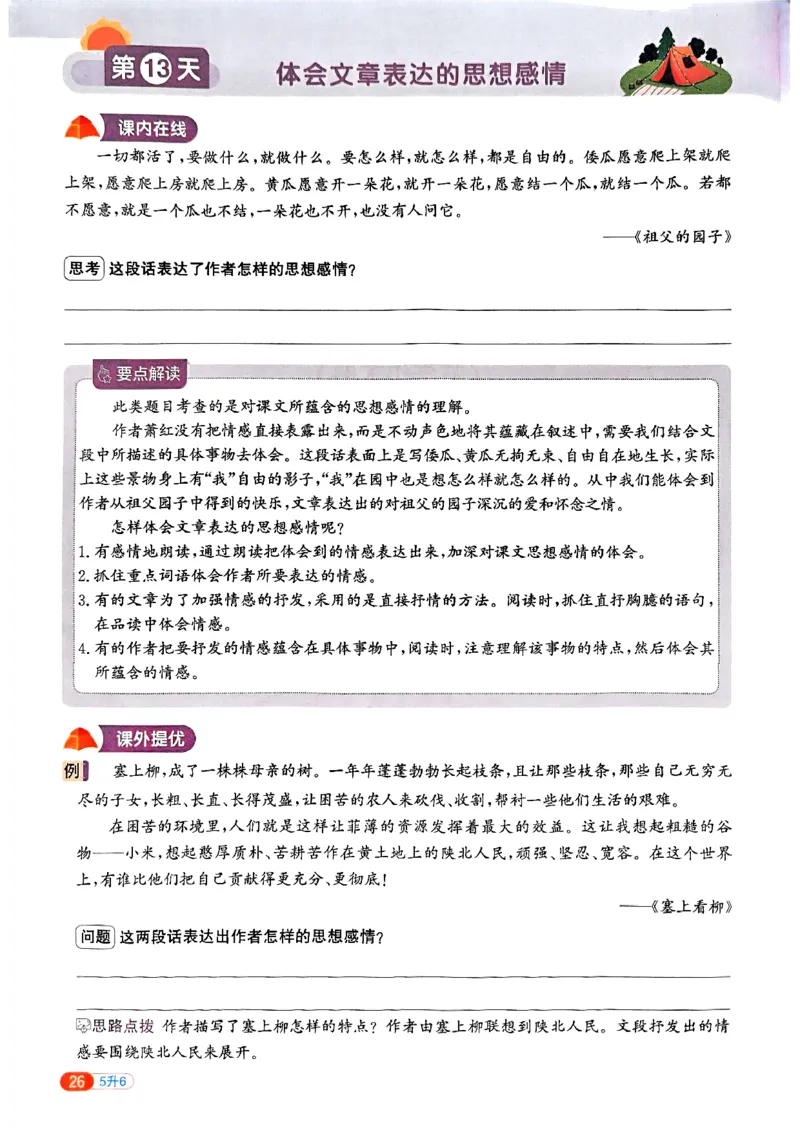 25版《阳光同学暑假衔接》语文5升6-副本_25秋《阳光同学》系列_25年1-6年级语文《阳光同学语文暑假衔接》_5升6