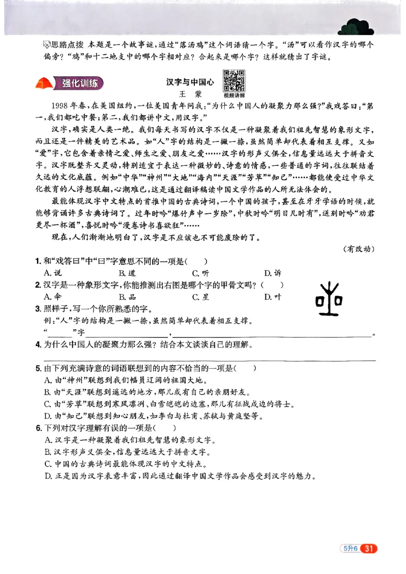 25版《阳光同学暑假衔接》语文5升6-副本_25秋《阳光同学》系列_25年1-6年级语文《阳光同学语文暑假衔接》_5升6