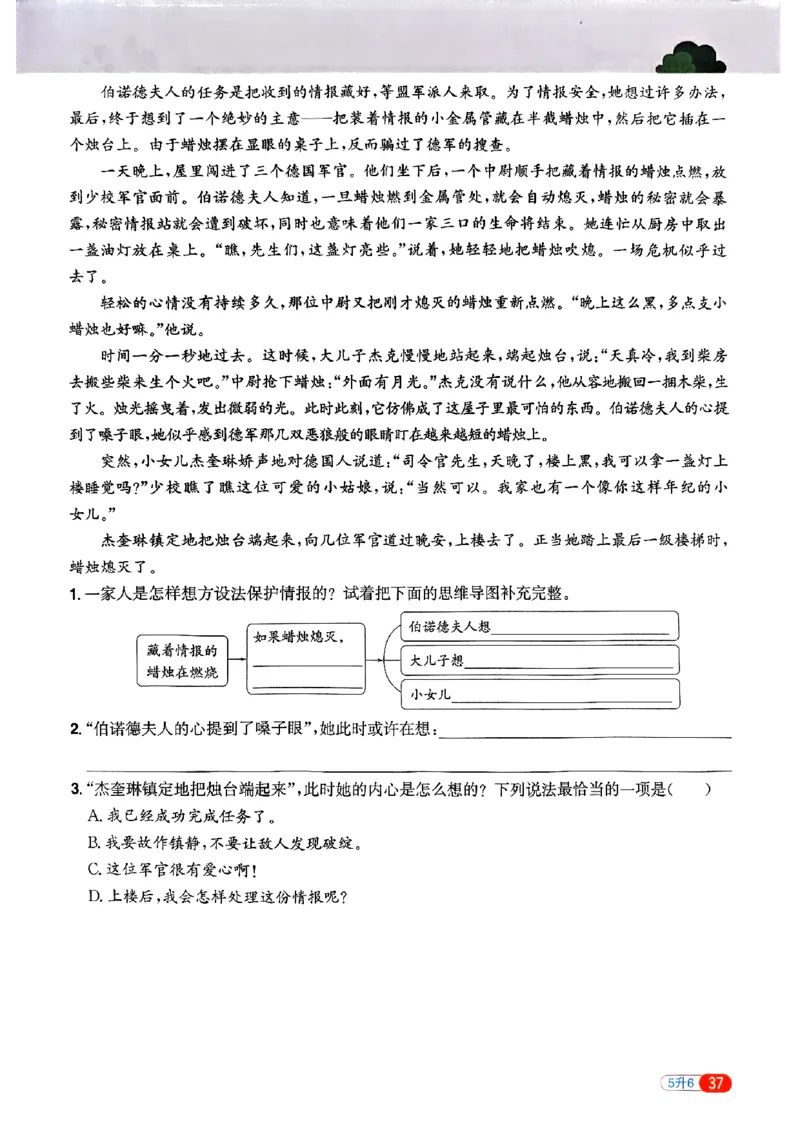25版《阳光同学暑假衔接》语文5升6-副本_25秋《阳光同学》系列_25年1-6年级语文《阳光同学语文暑假衔接》_5升6