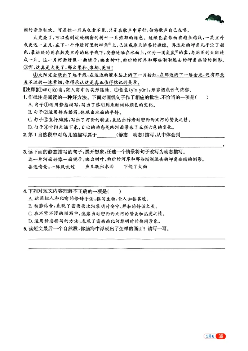 25版《阳光同学暑假衔接》语文5升6-副本_25秋《阳光同学》系列_25年1-6年级语文《阳光同学语文暑假衔接》_5升6