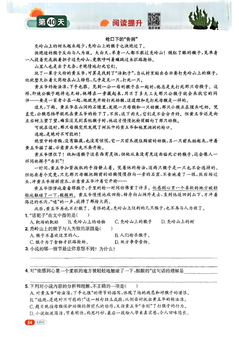 25版《阳光同学暑假衔接》语文5升6-副本_25秋《阳光同学》系列_25年1-6年级语文《阳光同学语文暑假衔接》_5升6