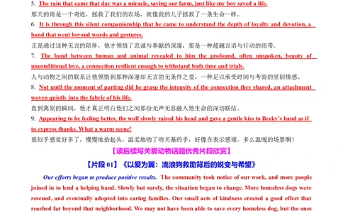 专题09读后续写关爱动物类话题（测试）解析版_02高考数学_2025年新高考资料_二轮复习_01高考语文等多个文件_上好课2025年高考英语二轮复习讲练测（新高考通用）_第七部分写作