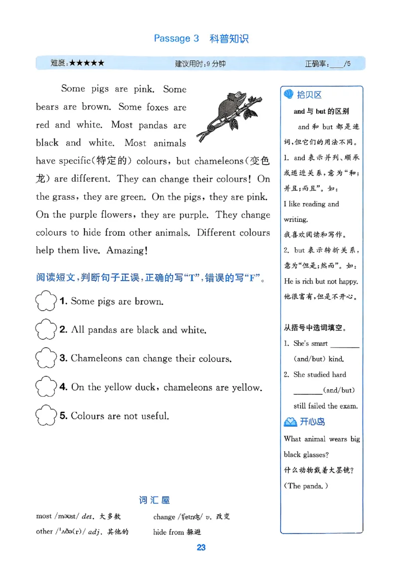 三年级英语上册人教PEP版25秋《拔尖特训》阅读攻略_25秋《拔尖特训》小学语数英各版本_3-6年级英语上册人教PEP版25秋《拔尖特训》_三年级英语上册人教PEP版25秋《拔尖特训》