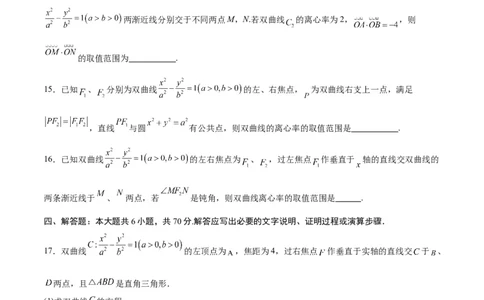 专题11双曲线中的参数及范围问题(原卷版)_02高考数学_2024年新高考资料_3.2024专项复习_2024年新高考数学之圆锥曲线专项重难点突破练（新高考专用）