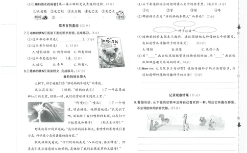 25秋语文二上典中点赠品卷子_25秋《典中点》系列_25秋1-6年级语文上册《典中点》（抢先版）_典中点语文完整版25年上册23_25秋二年级上册语文《典中点》完整版