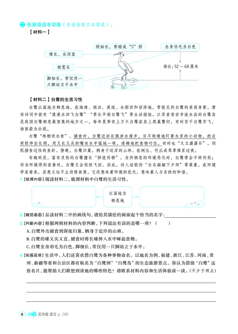 25秋典中点五年级语文上（R版）_25秋《典中点》系列_25秋1-6年级语文上册《典中点》（抢先版）