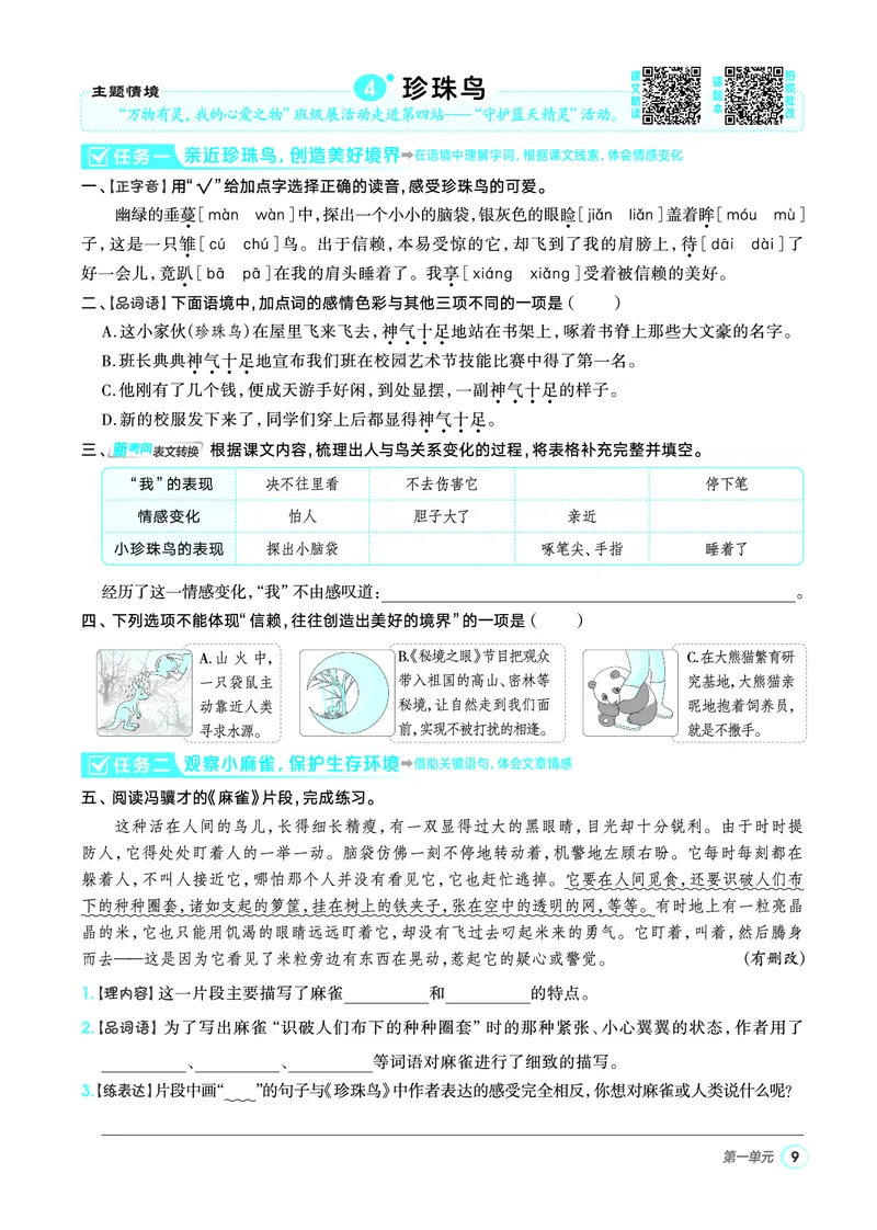 25秋典中点五年级语文上（R版）_25秋《典中点》系列_25秋1-6年级语文上册《典中点》（抢先版）