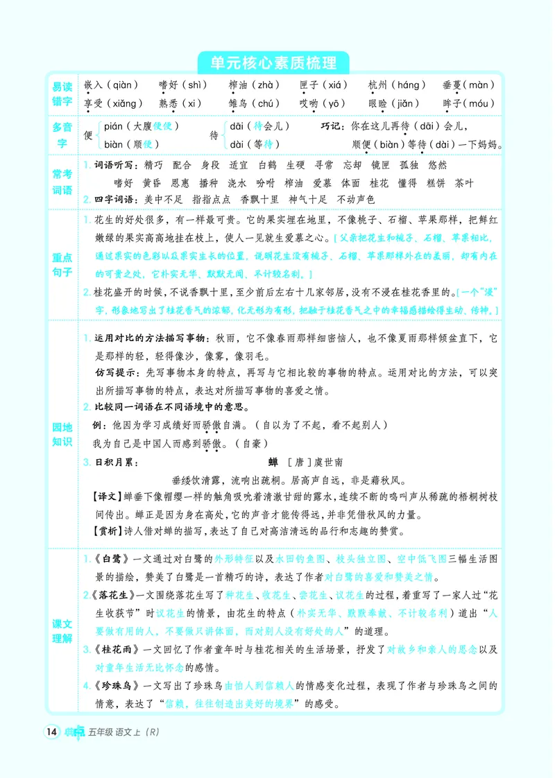 25秋典中点五年级语文上（R版）_25秋《典中点》系列_25秋1-6年级语文上册《典中点》（抢先版）