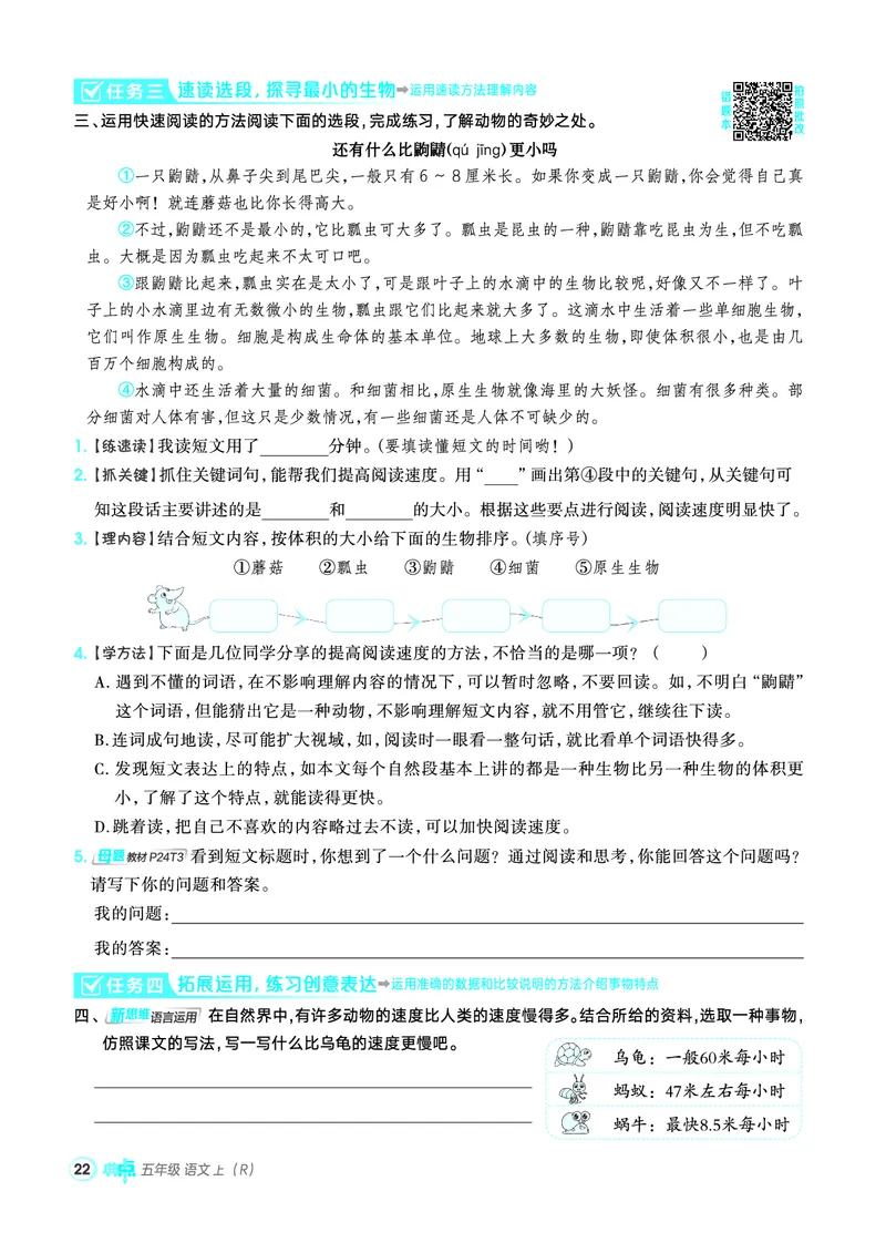 25秋典中点五年级语文上（R版）_25秋《典中点》系列_25秋1-6年级语文上册《典中点》（抢先版）