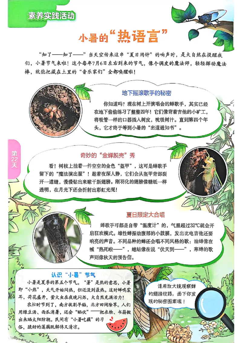 25版《实验班提优训练暑假衔接》语文5升6_25秋《实验班》系列_25版实验班语数英人教北师大苏教译林《暑假衔接》_实验班暑假衔接语文25年