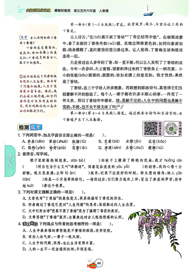 25版《实验班提优训练暑假衔接》语文5升6_25秋《实验班》系列_25版实验班语数英人教北师大苏教译林《暑假衔接》_实验班暑假衔接语文25年