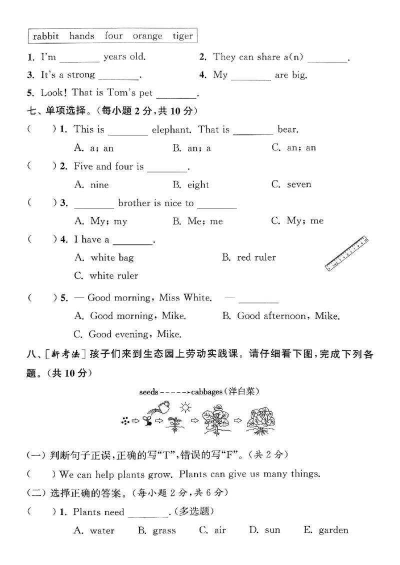 三年级英语上册人教PEP版25秋《拔尖特训》拔尖测评_25秋《拔尖特训》小学语数英各版本_3-6年级英语上册人教PEP版25秋《拔尖特训》_三年级英语上册人教PEP版25秋《拔尖特训》