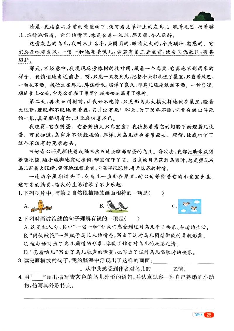 25版《阳光同学暑假衔接》语文3升4-副本_25秋《阳光同学》系列_25年1-6年级语文《阳光同学语文暑假衔接》_3升4