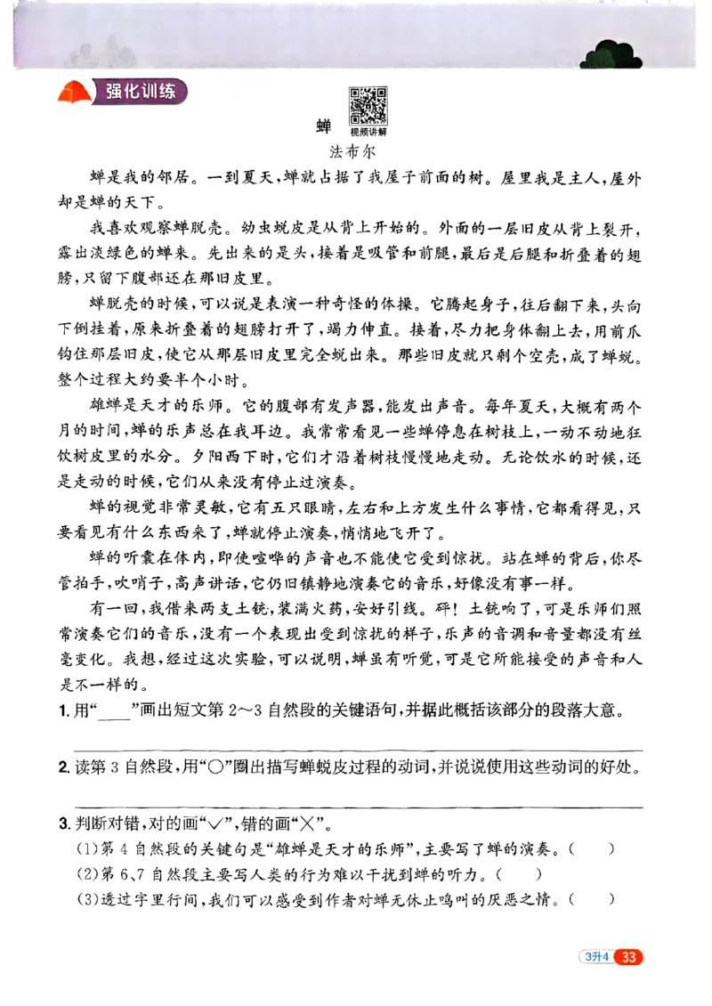 25版《阳光同学暑假衔接》语文3升4-副本_25秋《阳光同学》系列_25年1-6年级语文《阳光同学语文暑假衔接》_3升4