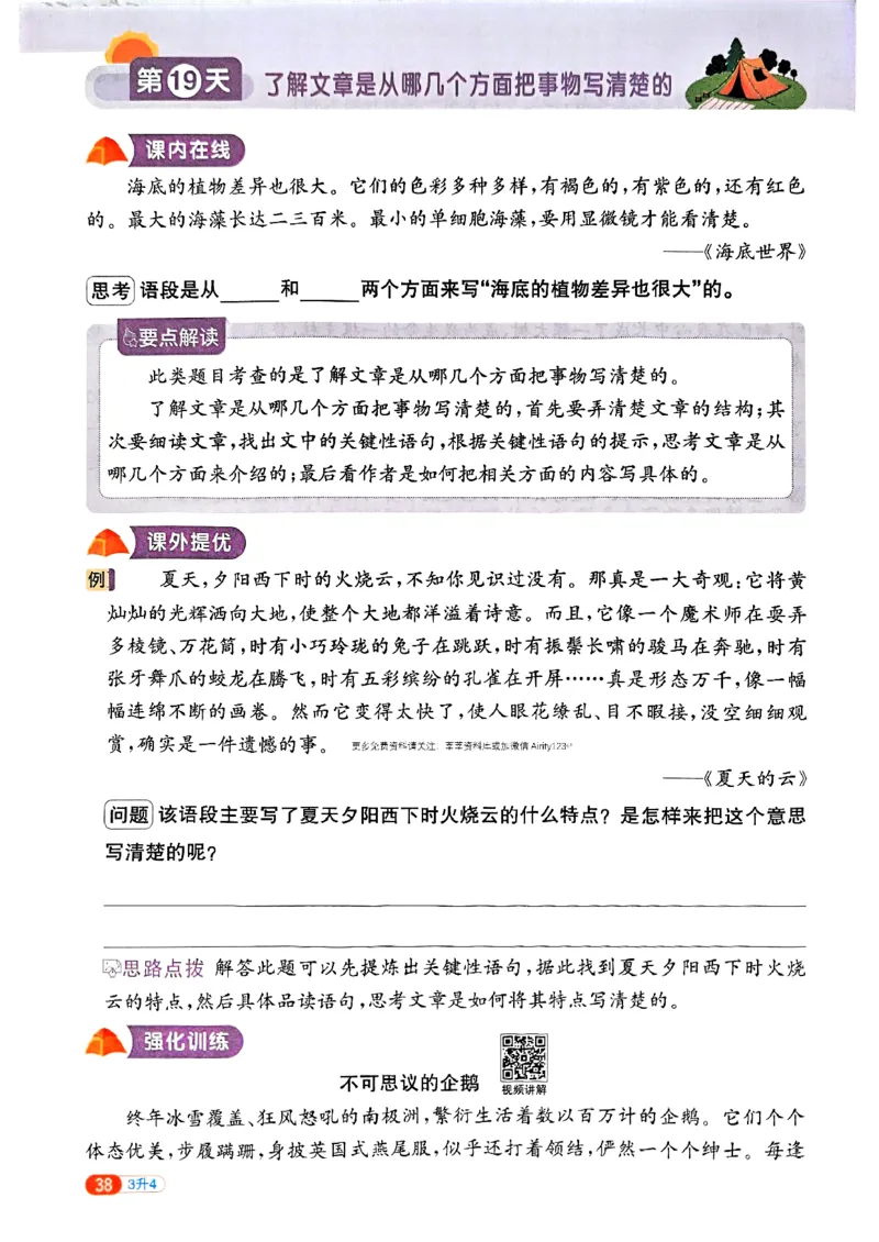 25版《阳光同学暑假衔接》语文3升4-副本_25秋《阳光同学》系列_25年1-6年级语文《阳光同学语文暑假衔接》_3升4