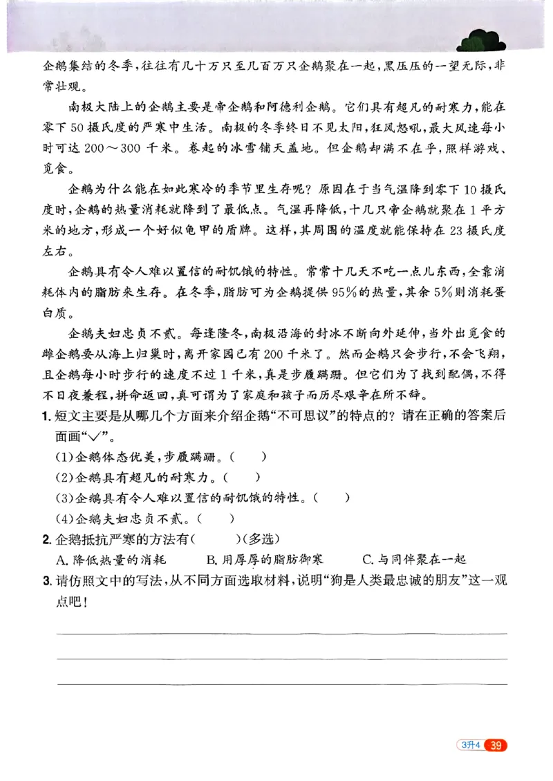 25版《阳光同学暑假衔接》语文3升4-副本_25秋《阳光同学》系列_25年1-6年级语文《阳光同学语文暑假衔接》_3升4