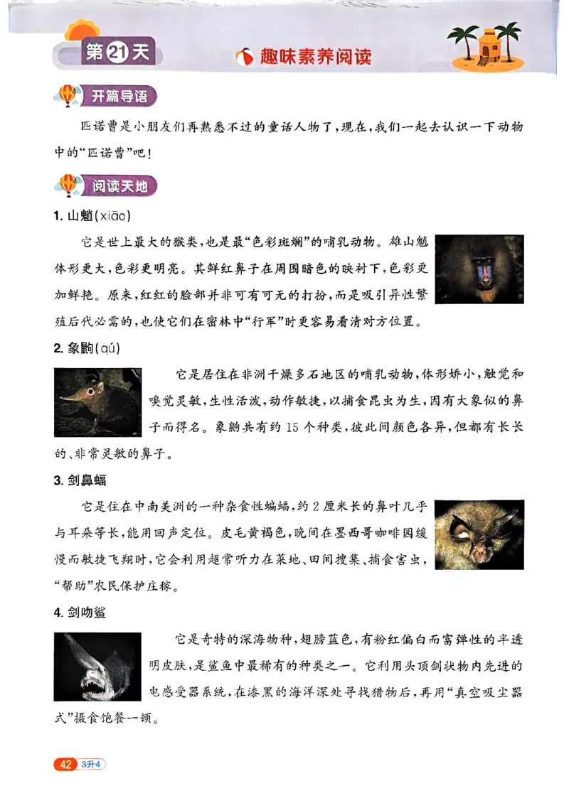 25版《阳光同学暑假衔接》语文3升4-副本_25秋《阳光同学》系列_25年1-6年级语文《阳光同学语文暑假衔接》_3升4