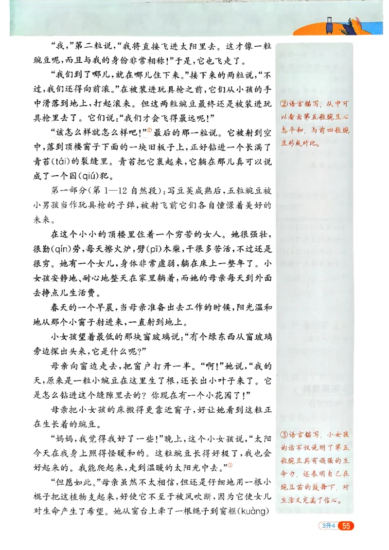 25版《阳光同学暑假衔接》语文3升4-副本_25秋《阳光同学》系列_25年1-6年级语文《阳光同学语文暑假衔接》_3升4