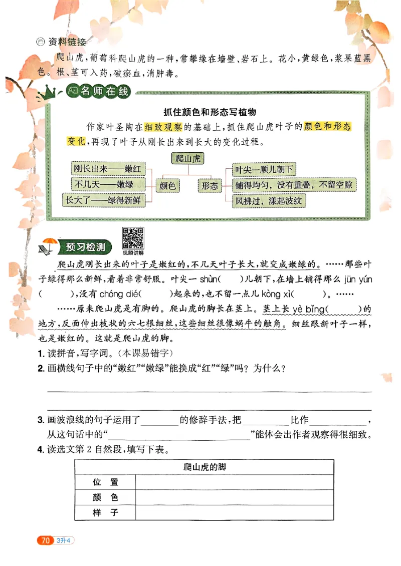 25版《阳光同学暑假衔接》语文3升4-副本_25秋《阳光同学》系列_25年1-6年级语文《阳光同学语文暑假衔接》_3升4