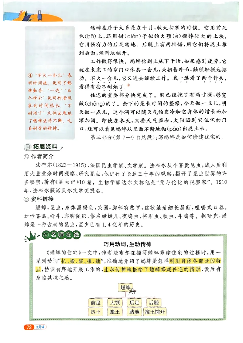 25版《阳光同学暑假衔接》语文3升4-副本_25秋《阳光同学》系列_25年1-6年级语文《阳光同学语文暑假衔接》_3升4