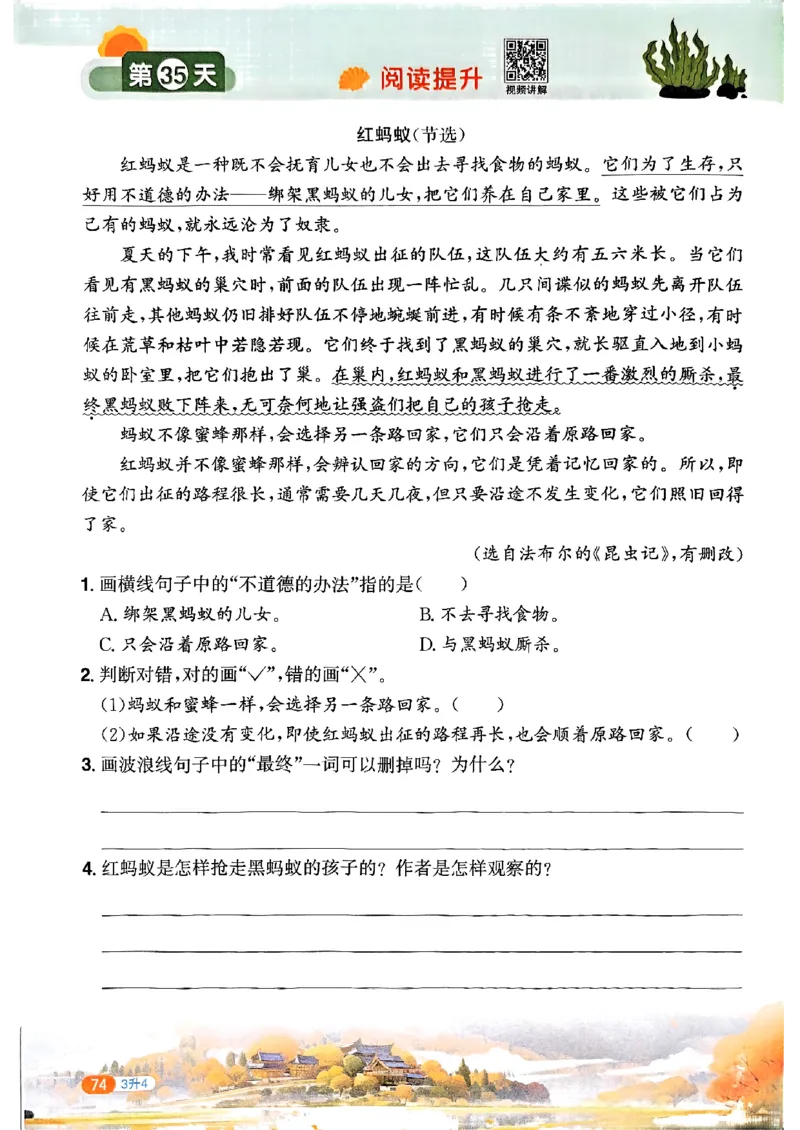 25版《阳光同学暑假衔接》语文3升4-副本_25秋《阳光同学》系列_25年1-6年级语文《阳光同学语文暑假衔接》_3升4
