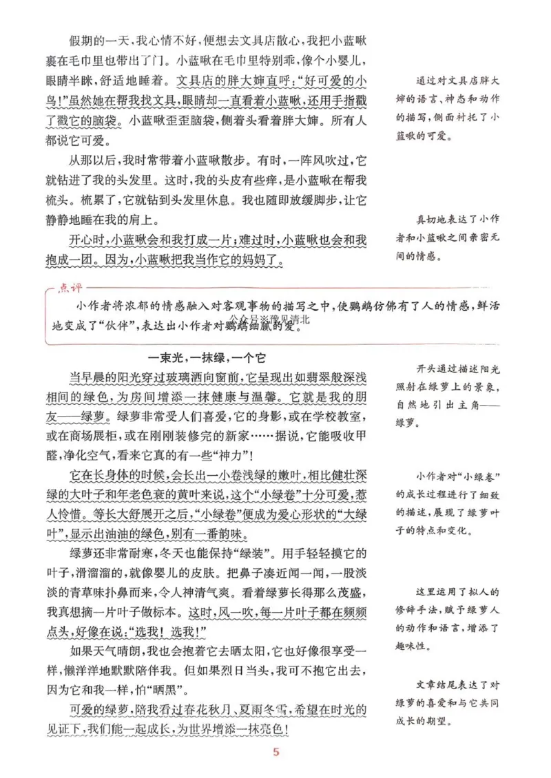 五年级语文人教版上册25秋《拔尖特训》作力拔尖攻略_25秋《拔尖特训》小学语数英各版本_1-6年级语文人教版上册25秋《拔尖特训》_五年级语文人教版上册25秋《拔尖特训》