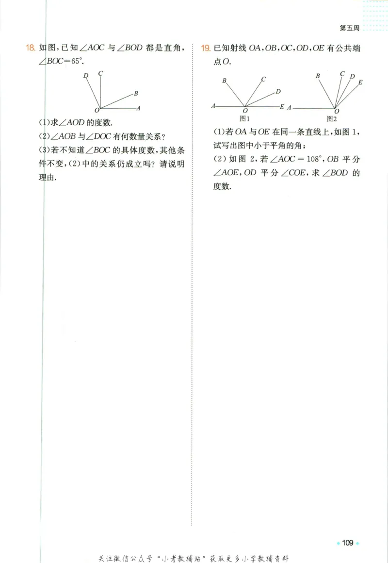 一本预备新初一数学_25秋《一本》系列_25版一本系列_一本预备新初一语数英25年