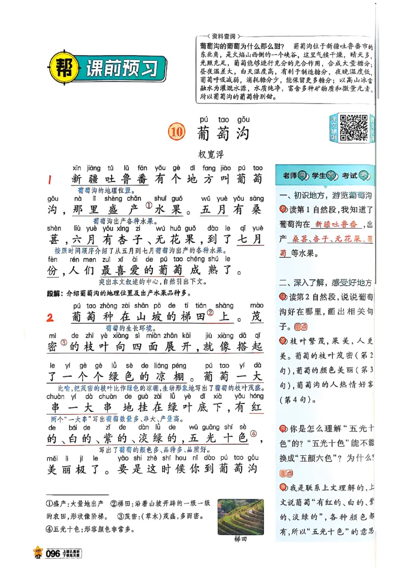 二年级语文人教版上册25秋《教材帮》_25秋《教材帮练习帮》系列_25秋1-5年级语文上册《教材帮》（完整版）_二年级语文人教版上册25秋《教材帮》
