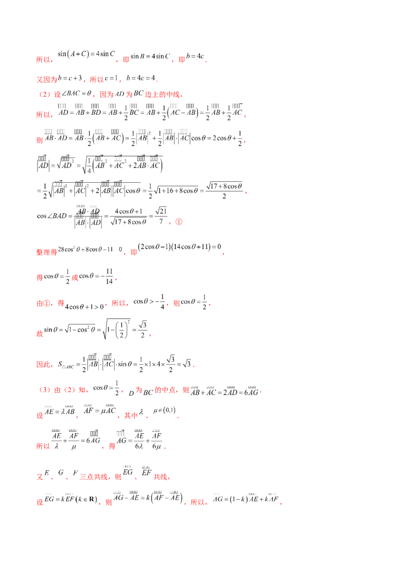 专题10正余弦定理在解三角形中的高级灵活应用与最值问题（练习）（解析版）_02高考数学_2025年新高考资料_二轮复习_01高考语文等多个文件