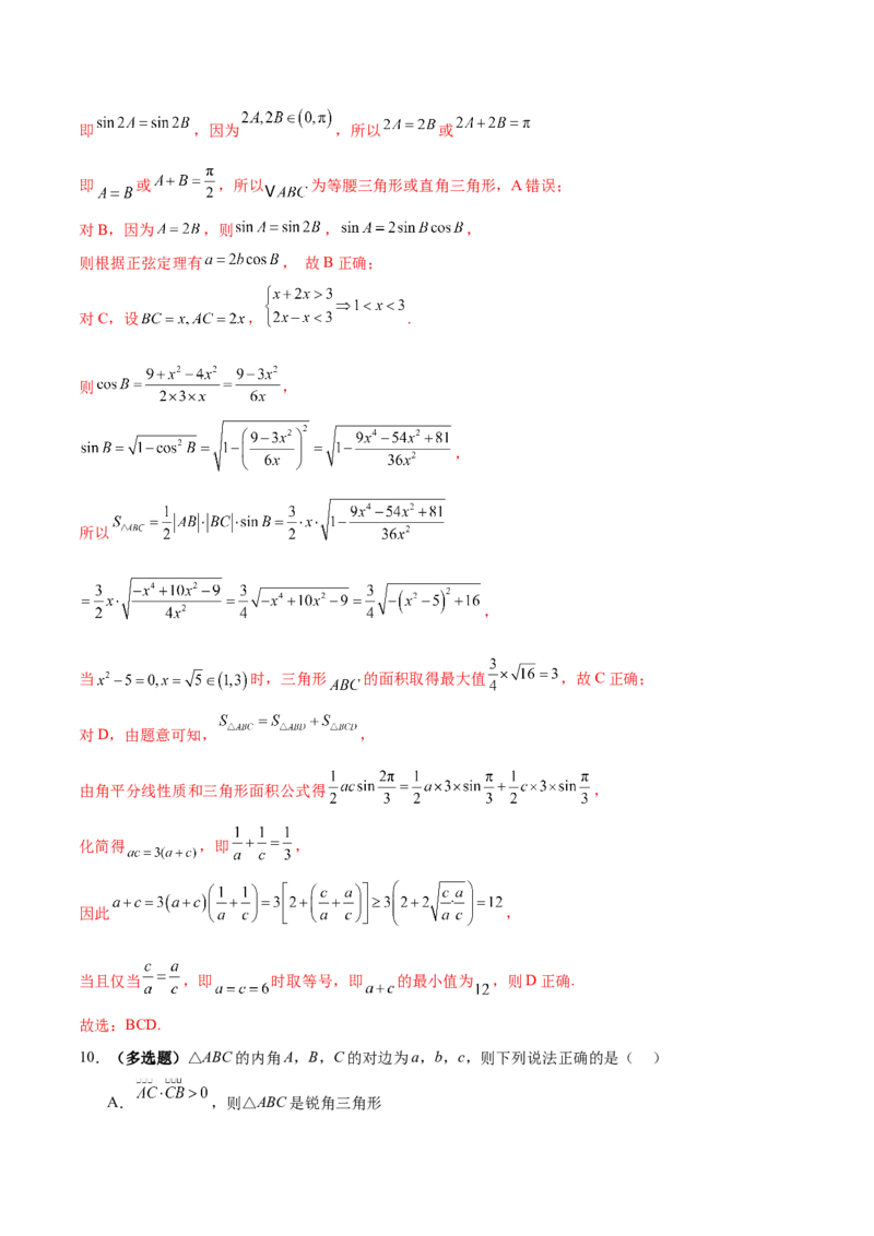 专题10正余弦定理在解三角形中的高级灵活应用与最值问题（练习）（解析版）_02高考数学_2025年新高考资料_二轮复习_01高考语文等多个文件