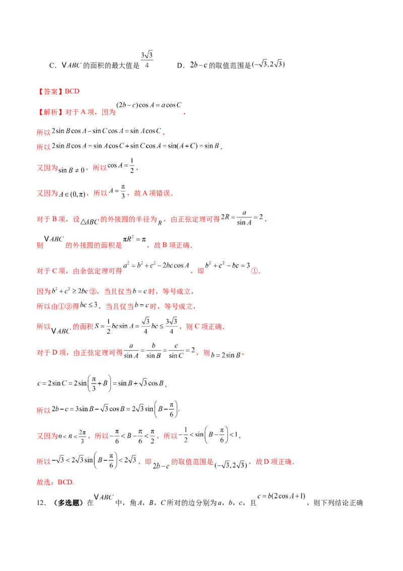 专题10正余弦定理在解三角形中的高级灵活应用与最值问题（练习）（解析版）_02高考数学_2025年新高考资料_二轮复习_01高考语文等多个文件