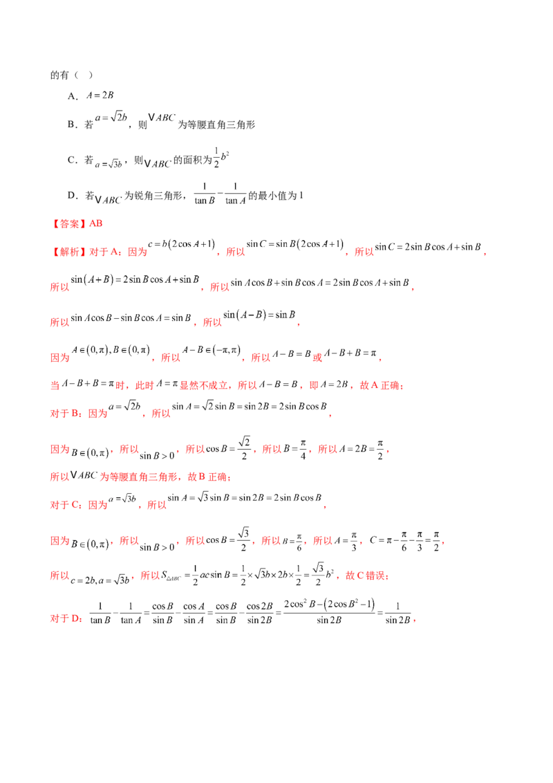 专题10正余弦定理在解三角形中的高级灵活应用与最值问题（练习）（解析版）_02高考数学_2025年新高考资料_二轮复习_01高考语文等多个文件