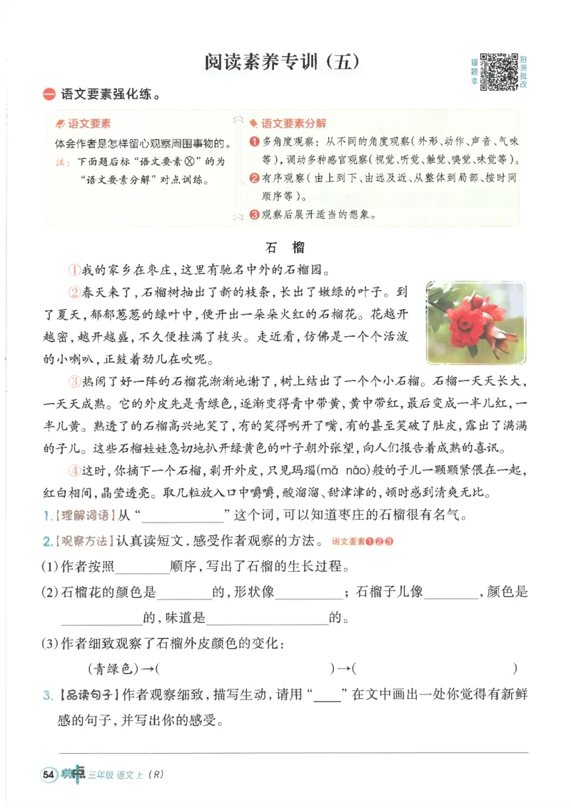 25秋语文三上典中点高分练习册R_25秋《典中点》系列_25秋1-6年级语文上册《典中点》（抢先版）_典中点语文完整版25年上册23_25秋三年级上册语文《典中点》完整版