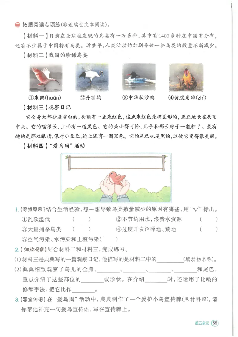 25秋语文三上典中点高分练习册R_25秋《典中点》系列_25秋1-6年级语文上册《典中点》（抢先版）_典中点语文完整版25年上册23_25秋三年级上册语文《典中点》完整版