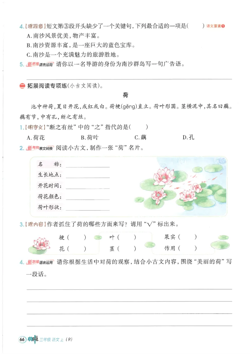 25秋语文三上典中点高分练习册R_25秋《典中点》系列_25秋1-6年级语文上册《典中点》（抢先版）_典中点语文完整版25年上册23_25秋三年级上册语文《典中点》完整版