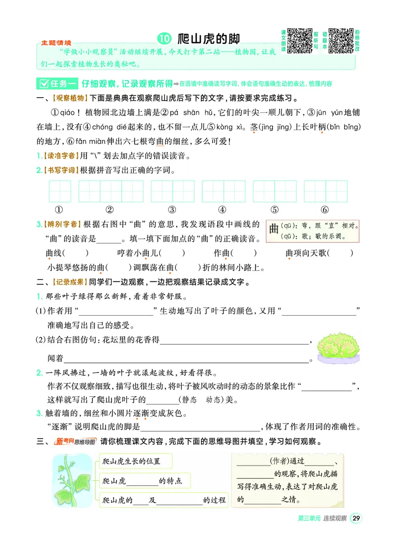 25秋典中点四年级语文上（R版）_25秋《典中点》系列_25秋1-6年级语文上册《典中点》（抢先版）