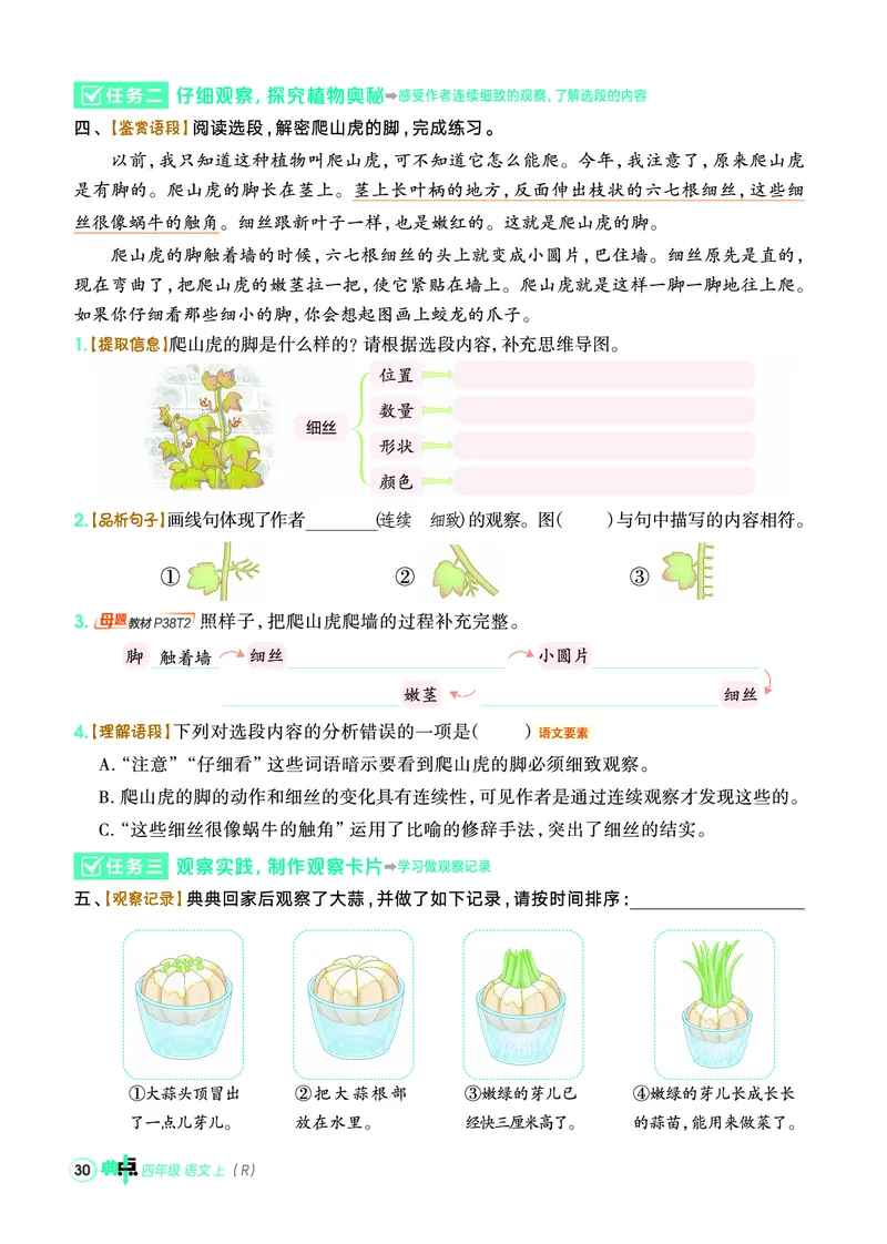 25秋典中点四年级语文上（R版）_25秋《典中点》系列_25秋1-6年级语文上册《典中点》（抢先版）