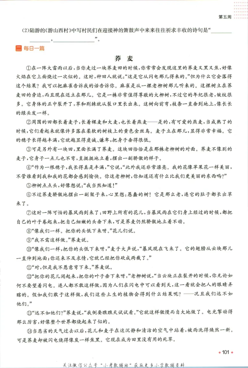 一本预备新初一语文_25秋《一本》系列_25版一本系列_一本预备新初一语数英25年