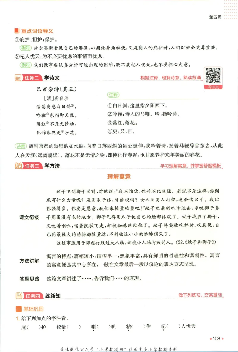 一本预备新初一语文_25秋《一本》系列_25版一本系列_一本预备新初一语数英25年