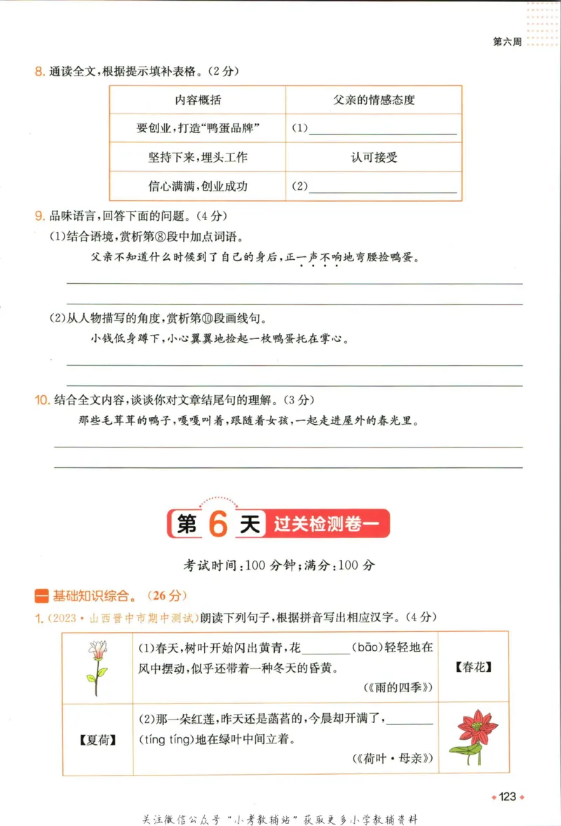 一本预备新初一语文_25秋《一本》系列_25版一本系列_一本预备新初一语数英25年